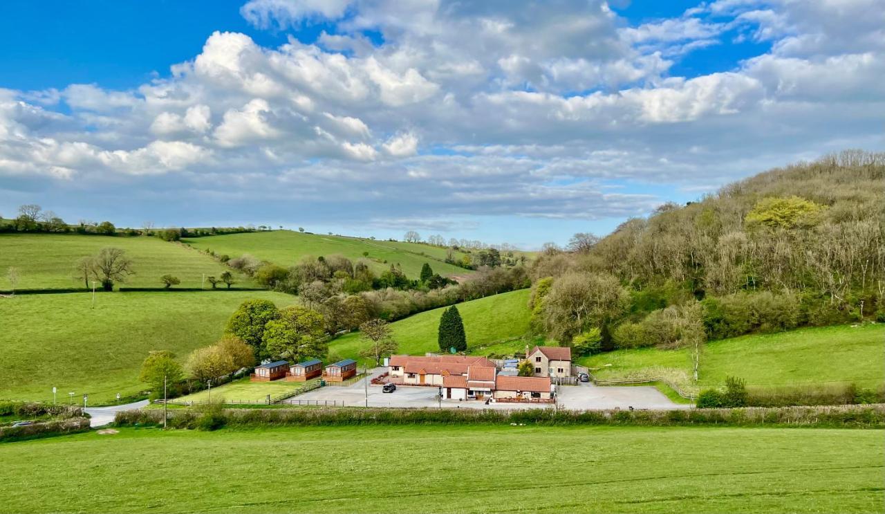 Lillypool * Cheddar